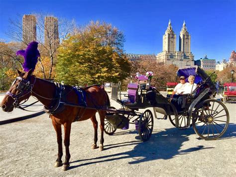 Very Long Carriage Ride 2025